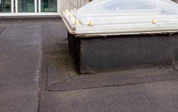 disadvantages of Newtoft flat roofs