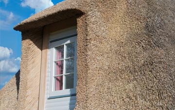 Newtoft thatch roof disadvantages
